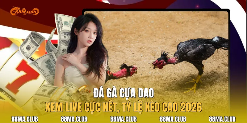 Đá Gà Cựa Dao