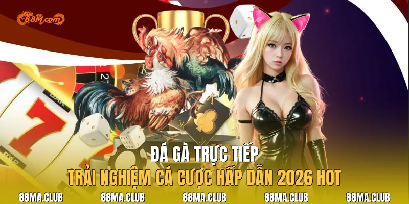 Đá Gà Trực Tiếp