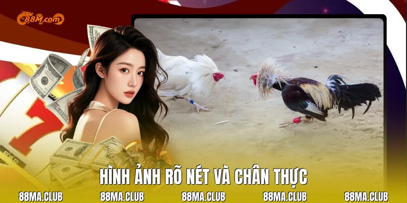 Hình ảnh rõ nét và chân thực