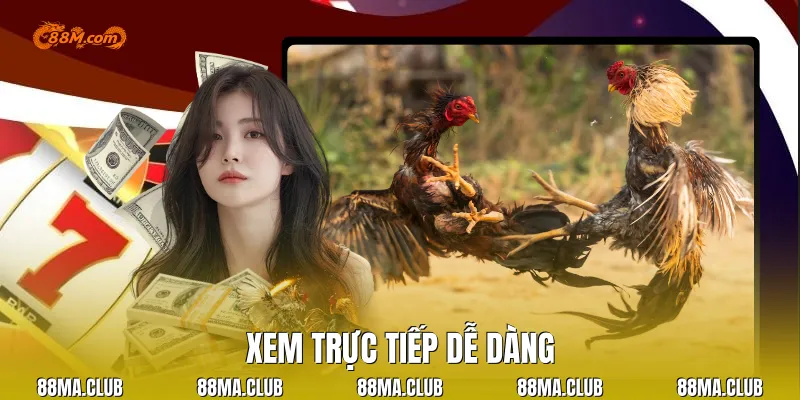 Xem trực tiếp dễ dàng